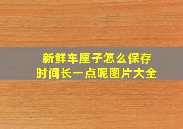 新鲜车厘子怎么保存时间长一点呢图片大全