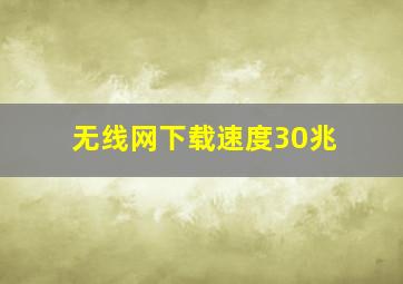 无线网下载速度30兆