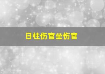 日柱伤官坐伤官