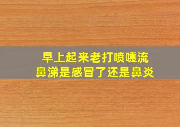 早上起来老打喷嚏流鼻涕是感冒了还是鼻炎