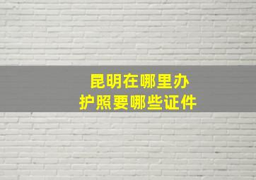 昆明在哪里办护照要哪些证件