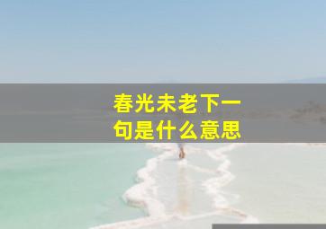 春光未老下一句是什么意思