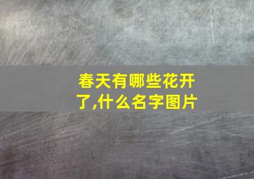 春天有哪些花开了,什么名字图片