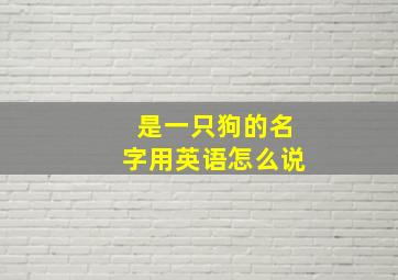 是一只狗的名字用英语怎么说