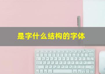 是字什么结构的字体