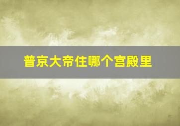 普京大帝住哪个宫殿里