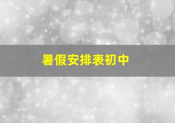 暑假安排表初中