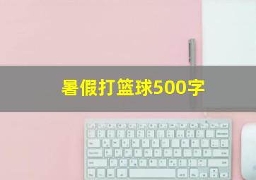 暑假打篮球500字