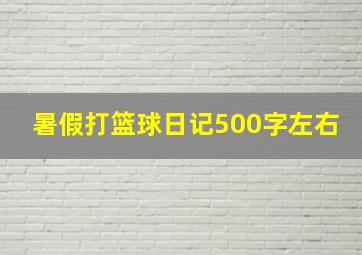 暑假打篮球日记500字左右