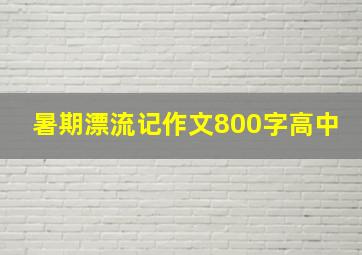 暑期漂流记作文800字高中