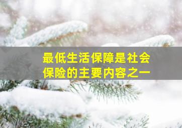 最低生活保障是社会保险的主要内容之一