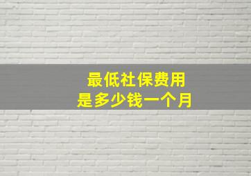 最低社保费用是多少钱一个月