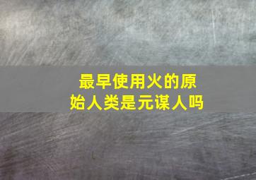 最早使用火的原始人类是元谋人吗