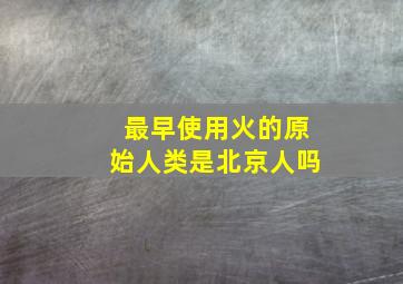 最早使用火的原始人类是北京人吗