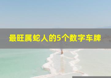 最旺属蛇人的5个数字车牌