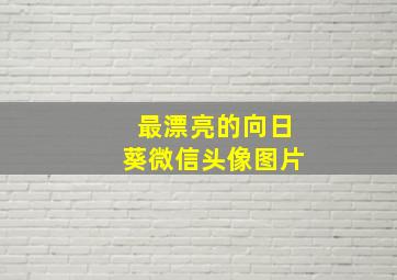 最漂亮的向日葵微信头像图片