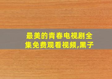 最美的青春电视剧全集免费观看视频,黑子