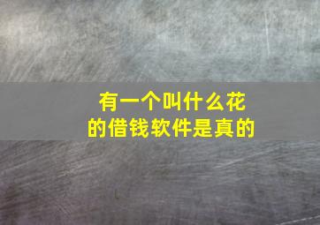 有一个叫什么花的借钱软件是真的