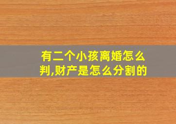 有二个小孩离婚怎么判,财产是怎么分割的