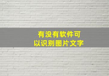 有没有软件可以识别图片文字