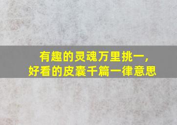 有趣的灵魂万里挑一,好看的皮囊千篇一律意思