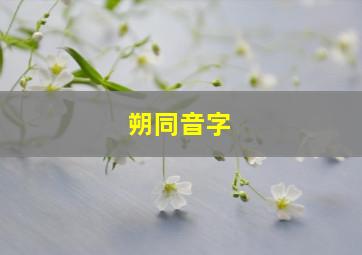 朔同音字