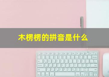 木楞楞的拼音是什么