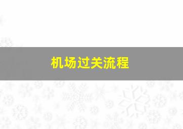 机场过关流程