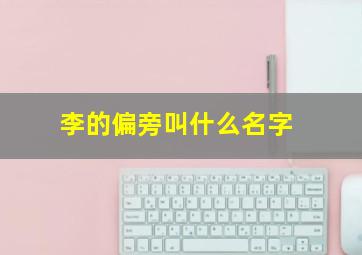 李的偏旁叫什么名字