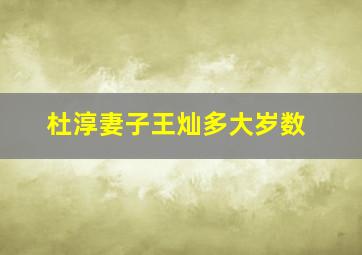 杜淳妻子王灿多大岁数