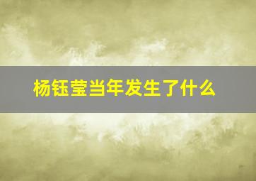 杨钰莹当年发生了什么