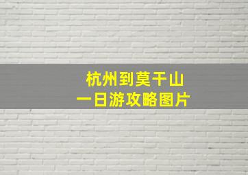 杭州到莫干山一日游攻略图片