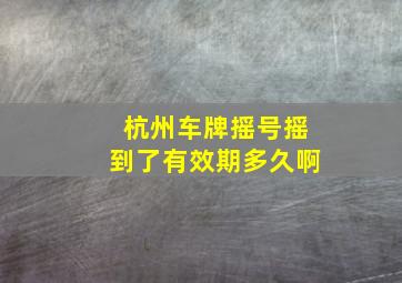 杭州车牌摇号摇到了有效期多久啊