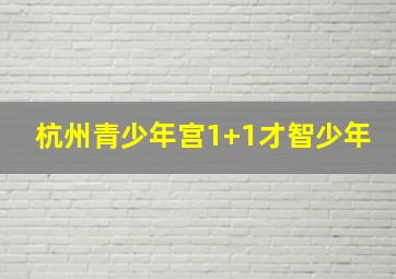 杭州青少年宫1+1才智少年