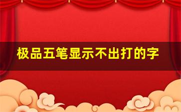 极品五笔显示不出打的字