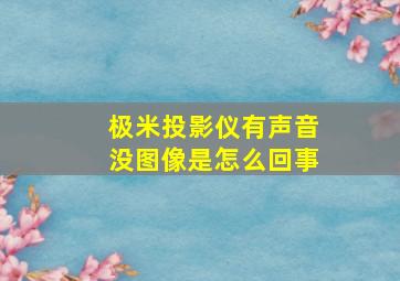 极米投影仪有声音没图像是怎么回事