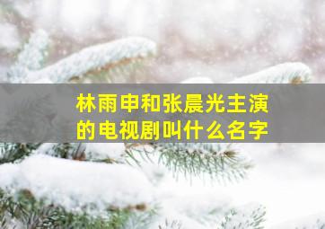 林雨申和张晨光主演的电视剧叫什么名字