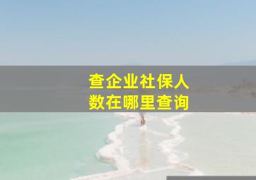 查企业社保人数在哪里查询