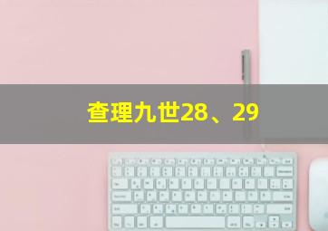 查理九世28、29