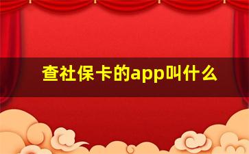 查社保卡的app叫什么