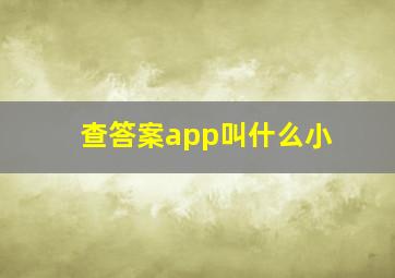 查答案app叫什么小