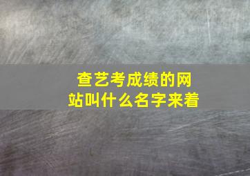 查艺考成绩的网站叫什么名字来着