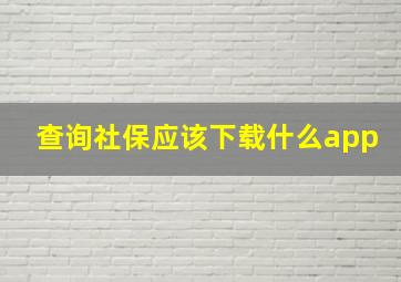 查询社保应该下载什么app