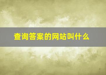 查询答案的网站叫什么