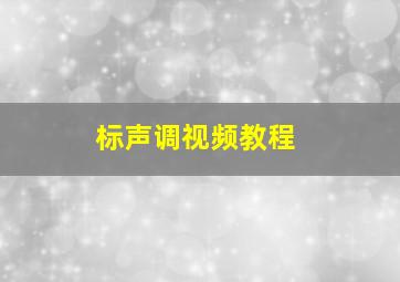 标声调视频教程