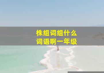 株组词组什么词语啊一年级