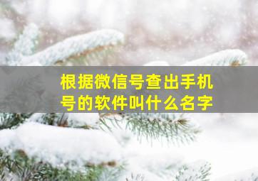 根据微信号查出手机号的软件叫什么名字