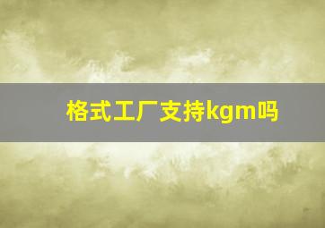 格式工厂支持kgm吗