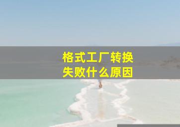 格式工厂转换失败什么原因