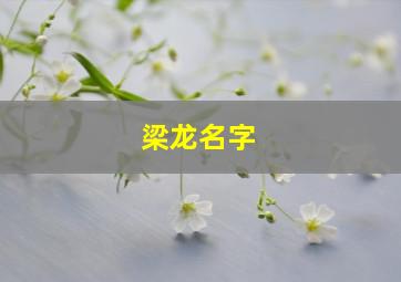 梁龙名字